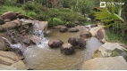 Amazing Vietnam