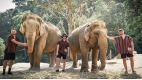 Chiang Mai Discovery: Temples & Elephants - 5 days