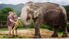 Amazing Thailand - 16 days