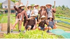 Vietnam Highlights