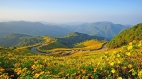 Truly Northern Thailand - 10 days