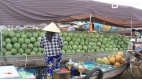 Vietnam Discovery