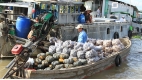 Vietnam Discovery
