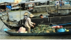 Vietnam Discovery