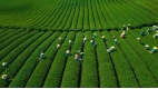 Northwest Vietnam In Style - 8 days