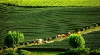 Northwest Vietnam In Style - 8 days