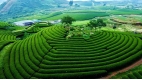 Northwest Vietnam In Style - 8 days