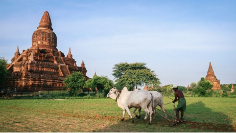 Myanmar Express
