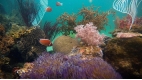 Phu Quoc Island Escape