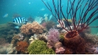 Phu Quoc Island Escape