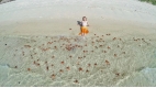 Phu Quoc Island Escape