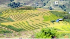 Amazing Vietnam