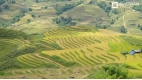 Vietnam Family Holiday