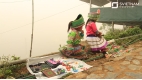 Best of Vietnam and Cambodia