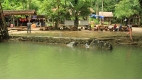 Laos Highlights - 7 days