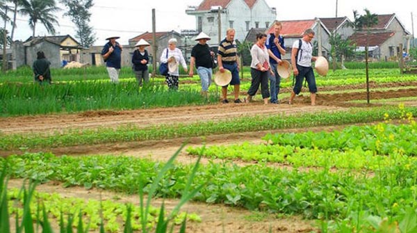 Tra Que Village
