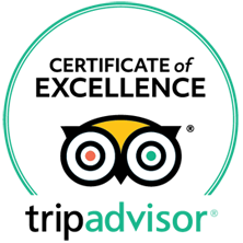 SVietnam on TripAdvisor