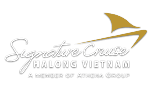 Signature Cruise